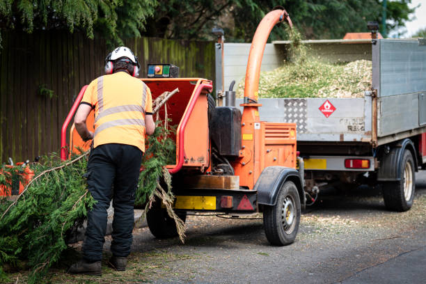 Best Affordable Tree Service  in Erda, UT